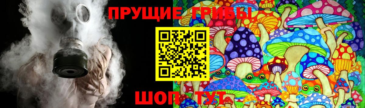 купить  сайты  Вход с VPN  Батайск  Галлюциногенные грибы GOLDEN TEACHER  Галлюциногенные грибы Psilocybe 